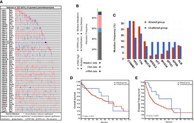 Identification and Validation of Ubiquitin-Specific Proteases as a Novel Prognostic Signature for Hepatocellular Carcinoma